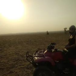 Camel and Horseback Riding Tours - Giza