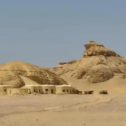 Camel and Horseback Riding Tours - Giza