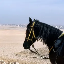 Pyramid of Menkaure - Giza