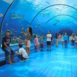 Hurghada Grand Aquarium - Hurghada