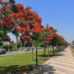 El Salam Canal Park - Ismailia