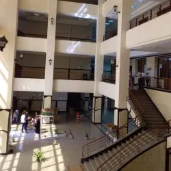 Agricultural Fields of Kafr El Sheikh - Kafr El Sheikh