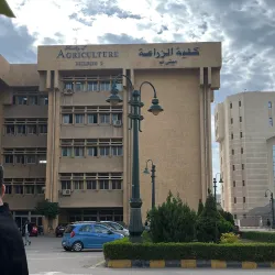 Agricultural Fields of Kafr El Sheikh - Kafr El Sheikh