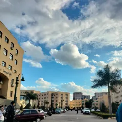 Agricultural Fields of Kafr El Sheikh - Kafr El Sheikh