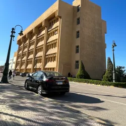 Agricultural Fields of Kafr El Sheikh - Kafr El Sheikh