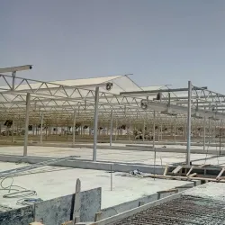 Bahr El Baqar Drain - Kafr El Sheikh