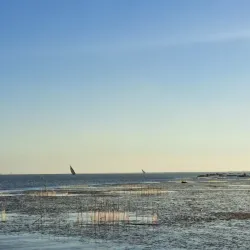 Lake Burullus - Kafr El Sheikh