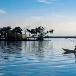 Local Traditional Villages - Kafr El Sheikh