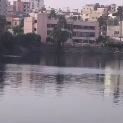 Mansoura Public Library - Mansoura (El Mansura)