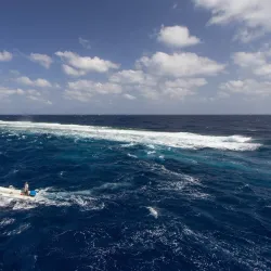 Elphinstone Reef - Marsa Alam
