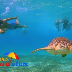 Mars Alam Museum - Marsa Alam