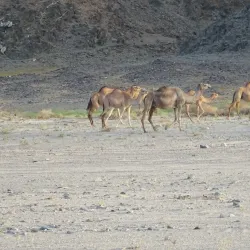 Mars Alam Museum - Marsa Alam