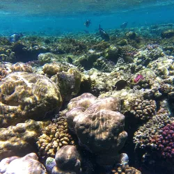 Mars Alam Museum - Marsa Alam