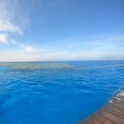 Samadai Reef (Dolphin House) - Marsa Alam