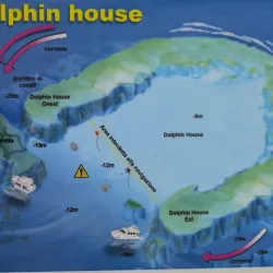 Samadai Reef (Dolphin House) - Marsa Alam