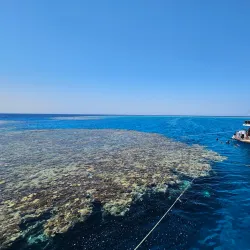 Samadai Reef (Dolphin House) - Marsa Alam