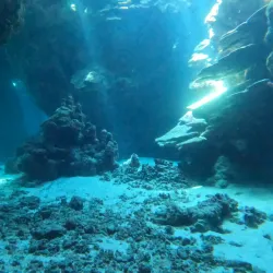 Samadai Reef (Dolphin House) - Marsa Alam