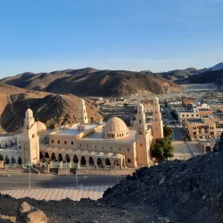 Wadi El Gemal Camel Market - Marsa Alam