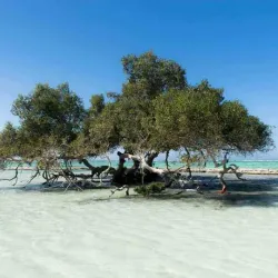 Wadi El Gemal National Park - Marsa Alam