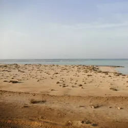 Wadi El Gemal National Park - Marsa Alam