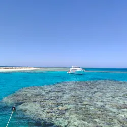 Wadi El Gemal National Park - Marsa Alam