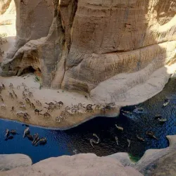 Wadi El Gemal National Park - Marsa Alam