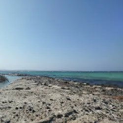 Wadi El Gemal National Park - Marsa Alam