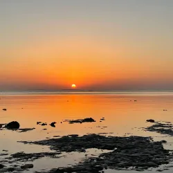 Wadi El Gemal National Park - Marsa Alam