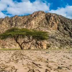 Wadi El Gemal National Park - Marsa Alam