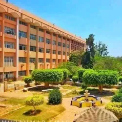 Agricultural Fields of Menofia - Menofia