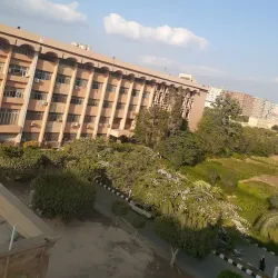 Agricultural Fields of Menofia - Menofia