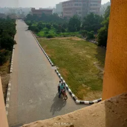 Agricultural Fields of Menofia - Menofia