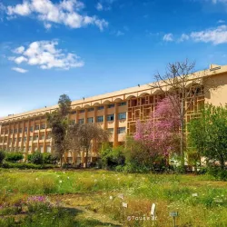 Agricultural Fields of Menofia - Menofia