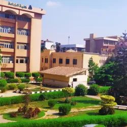 Agricultural Fields of Menofia - Menofia