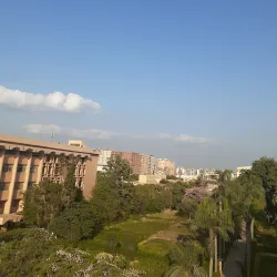 Agricultural Fields of Menofia - Menofia