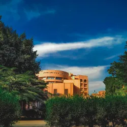 Agricultural Fields of Menofia - Menofia