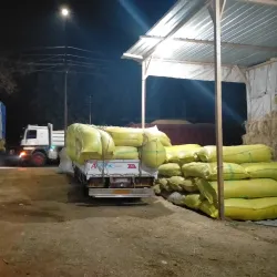 Menouf City - Menofia