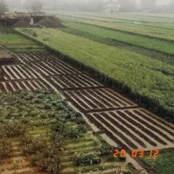 Menouf City - Menofia