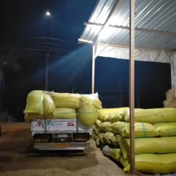 Menouf City - Menofia