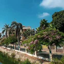 Shibin El Kom - Menofia