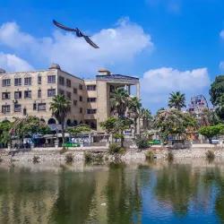 Shibin El Kom - Menofia