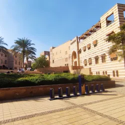 American University in Cairo (New Cairo Campus) - New Cairo