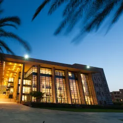 American University in Cairo (New Cairo Campus) - New Cairo