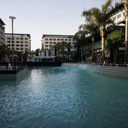 Fifth Settlement Park - New Cairo