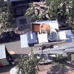 Fifth Settlement Park - New Cairo