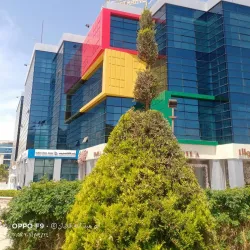 Fifth Settlement Park - New Cairo