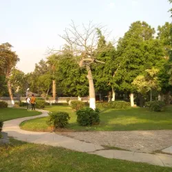 Local Parks and Green Spaces - Qalyub