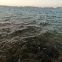 Ras Gharib Oil Fields - Ras Gharib (Ras Ghareb)