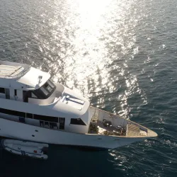 Red Sea Diving and Snorkeling Tours - Ras Gharib (Ras Ghareb)