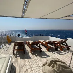 Red Sea Diving and Snorkeling Tours - Ras Gharib (Ras Ghareb)